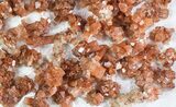 Lot: Small Twinned Aragonite Crystals - Pieces #78103-2